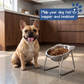 🎃Halloween Deal 50% OFF!🥣15° Tilted Orthopaedic Feeding Bowl