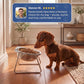 🎃Halloween Deal 50% OFF!🥣15° Tilted Orthopaedic Feeding Bowl