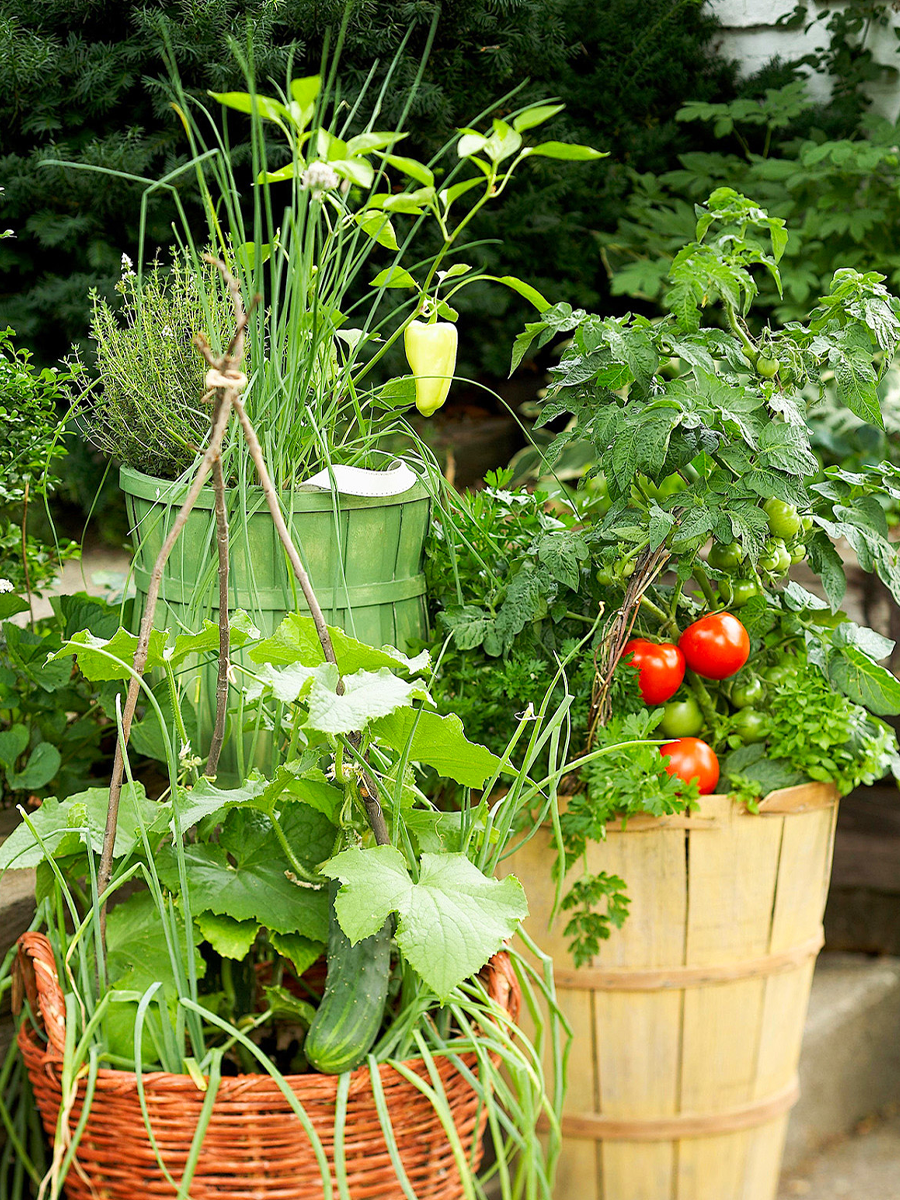 Patio vegetables