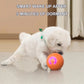 🐾1+1 INGYEN🐶INTERAKTÍV SMART PET BOUNCE LABDA – UGRIK, VILÁGÍT, SZÓRAKOZTAT!