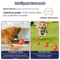 🐾1+1 INGYEN🐶INTERAKTÍV SMART PET BOUNCE LABDA – UGRIK, VILÁGÍT, SZÓRAKOZTAT!