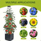 🥒NU 50% KORTING☀️Verhoogde plantenbakken met klimrek voor in de tuin 🌸