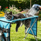 🐾 50% kedvezmény🐱Kétfunkciós összecsukható állatápoló ágy