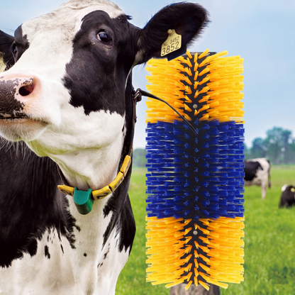 🐄 Speciális masszázs- és ápolókefe – átfogó, kíméletes és hatékony ✨