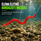 🐟1 +1 Ingyen🎣Bionikus földigiliszta-utánzatú lágycsali